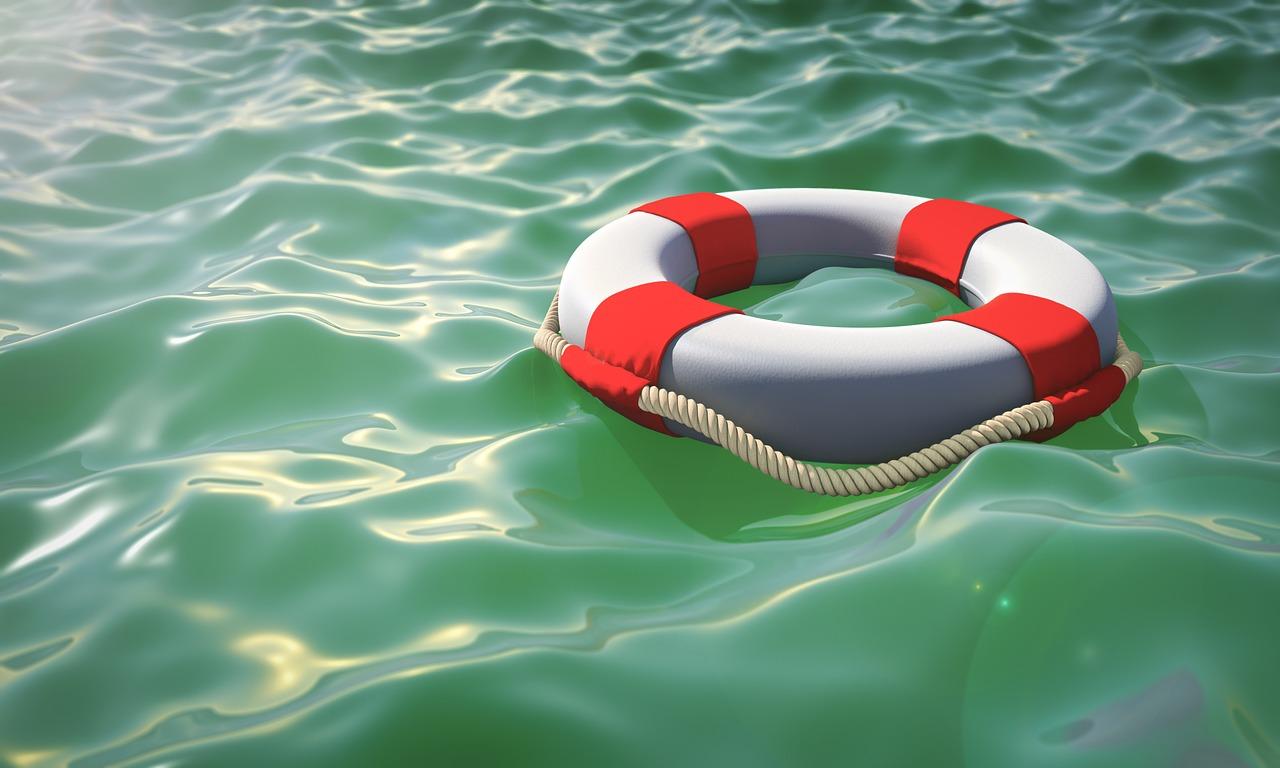 Thumbnail Image for OARS